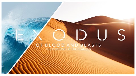 Of Blood & Beasts: The Purpose of the Plagues