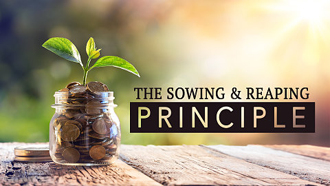 The Sowing and Reaping Principle