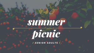 spring picnic girl s weekend invitation