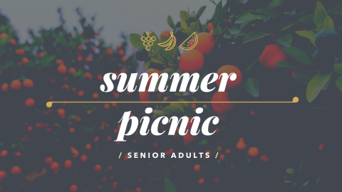 Senior Adults Summer Picnic
