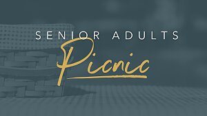 updated senior adults picnic